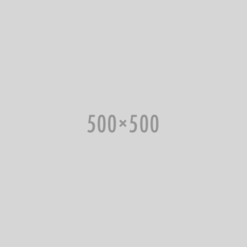 500x500
