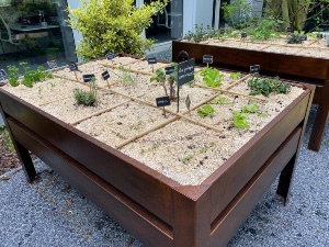 potager corten